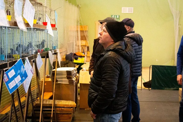 35. Okręgowa Wystawa Gołębi Pocztowych Okręgu Białystok już za nami! (zdjęcia)