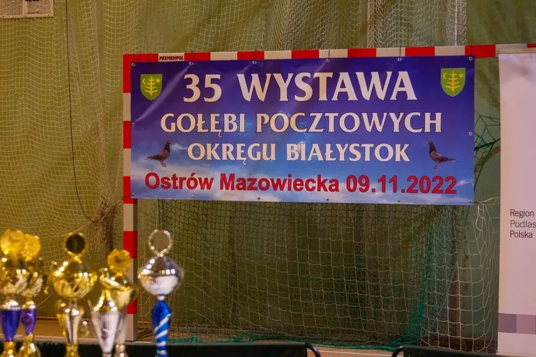 Wystawa Gołębi Pocztowych w Ostrowi Mazowieckiej (zdjęcia)