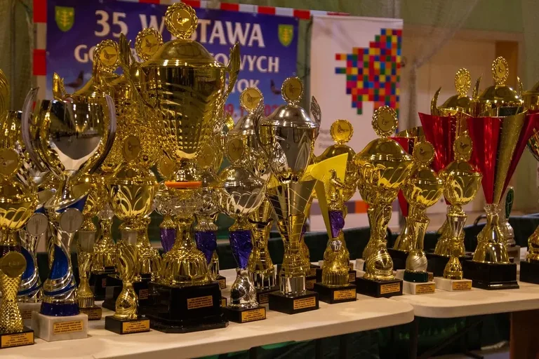 Wystawa Gołębi Pocztowych w Ostrowi Mazowieckiej (zdjęcia)