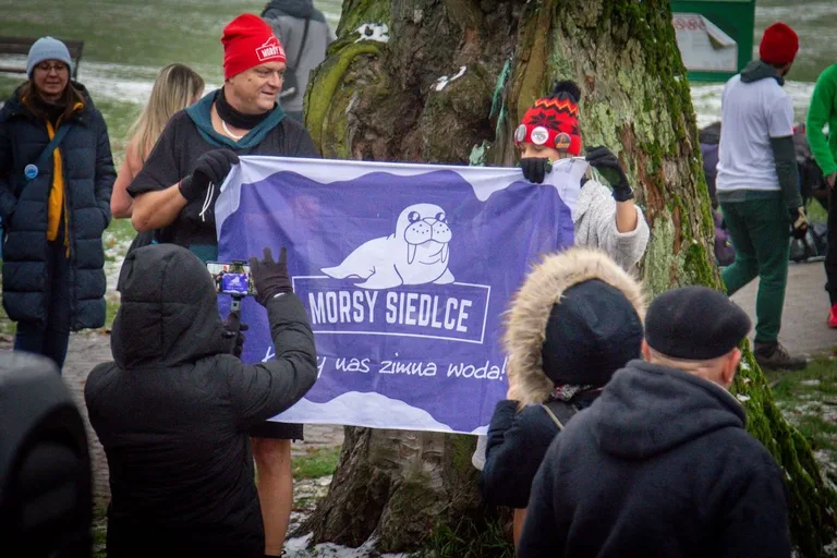 Morsy rozpoczęły sezon w stawie miejskim w Ostrowi Mazowieckiej! (zdjęcia)