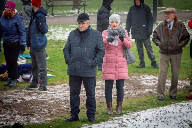Morsy rozpoczęły sezon w stawie miejskim w Ostrowi Mazowieckiej! (zdjęcia)