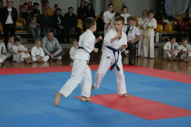 Nasi karatecy z medalami (zdjęcia)