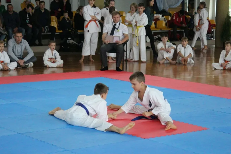 Nasi karatecy z medalami (zdjęcia)