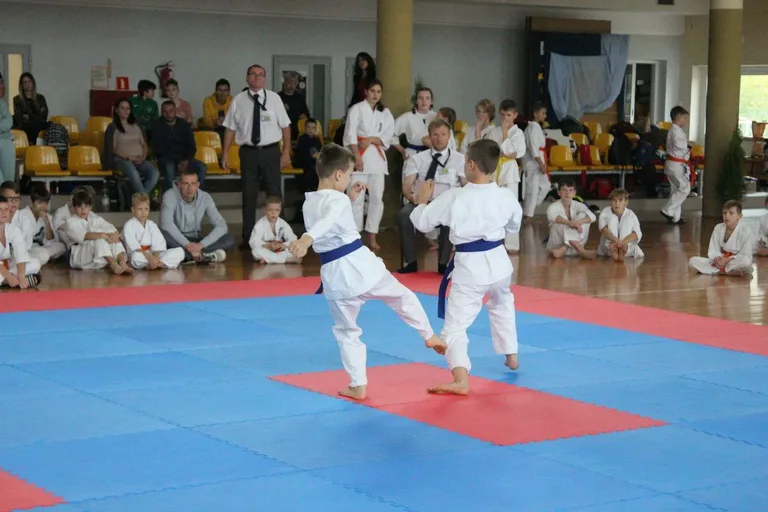 Nasi karatecy z medalami (zdjęcia)