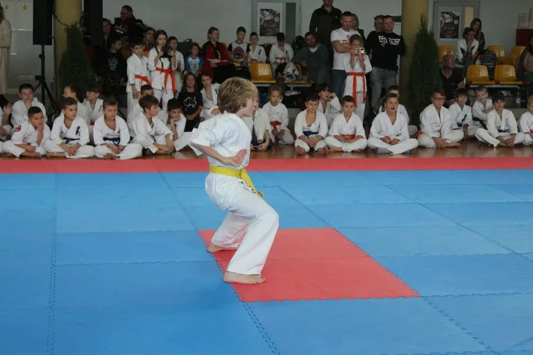 Nasi karatecy z medalami (zdjęcia)