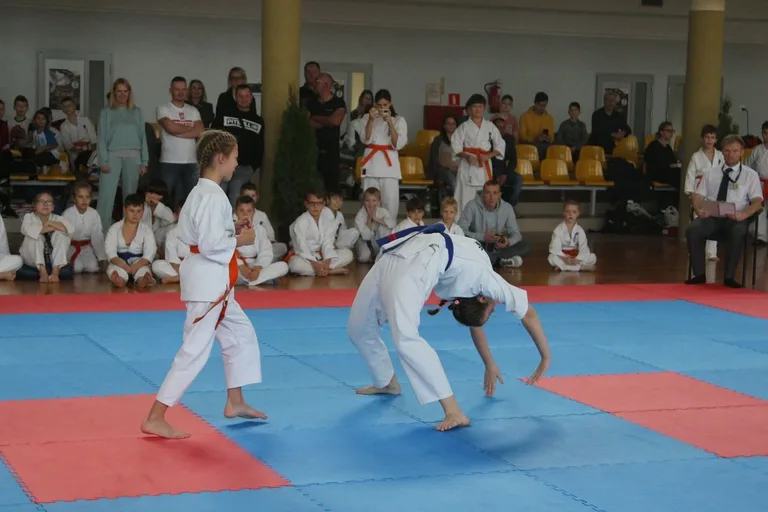 Nasi karatecy z medalami (zdjęcia)