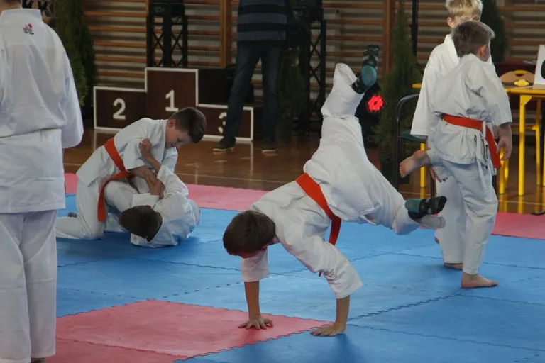 Nasi karatecy z medalami (zdjęcia)