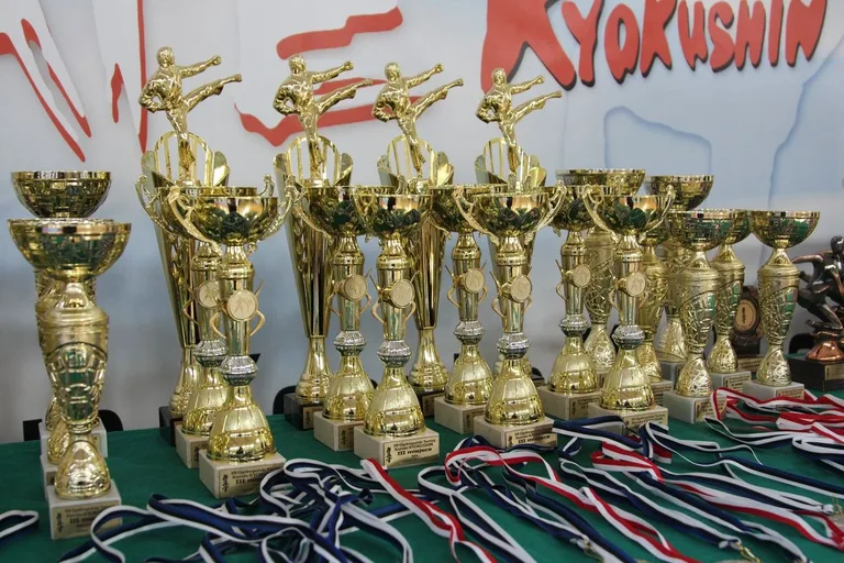 Nasi karatecy z medalami (zdjęcia)