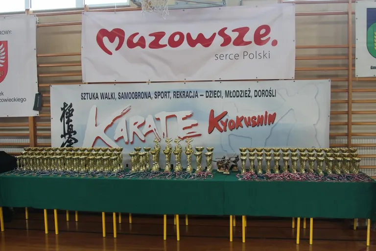 Nasi karatecy z medalami (zdjęcia)