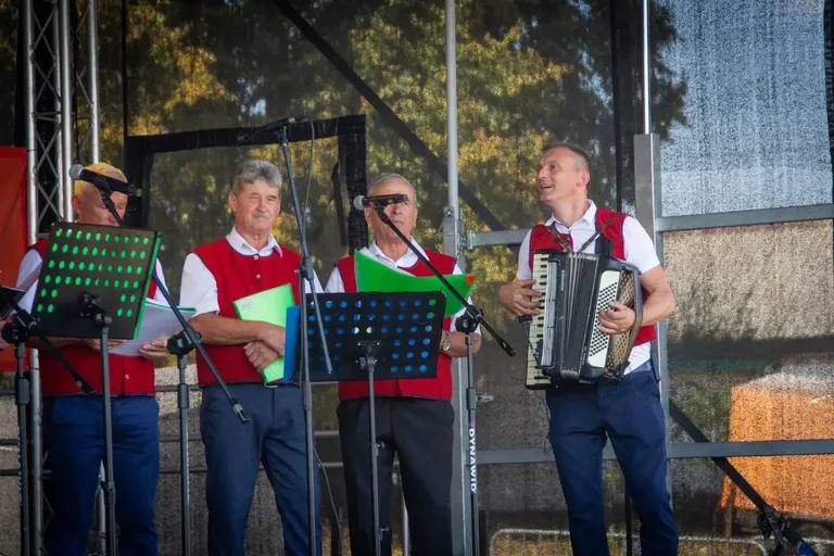 Artyści zaprezentowali swoje utwory na Dożynkach Gminno-Parafialnych w Prostyni (zdjęcia, wideo)