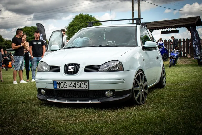 Wielki Piknik Motoryzacyjny "Zjednoczenie Klubów" (zdjęcia)