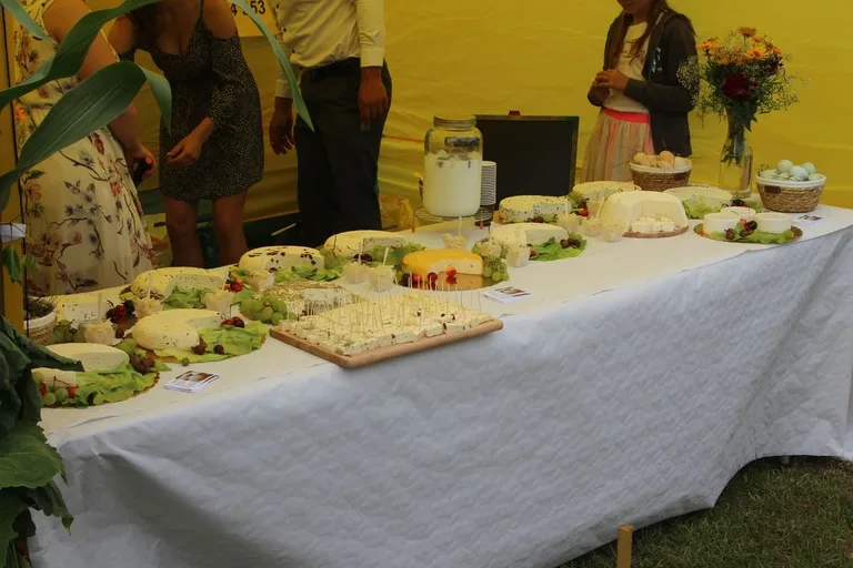 Oficjalne otwarcie Festiwalu Kół Gospodyń Wiejskich w Bogutach-Piankach (zdjęcia, wiedo)