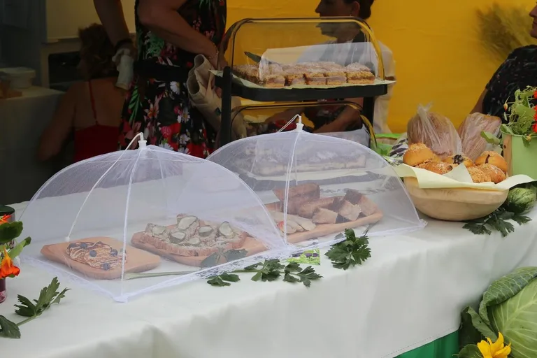 Oficjalne otwarcie Festiwalu Kół Gospodyń Wiejskich w Bogutach-Piankach (zdjęcia, wiedo)