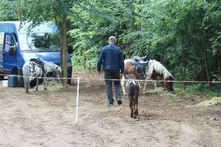 Oficjalne otwarcie Festiwalu Kół Gospodyń Wiejskich w Bogutach-Piankach (zdjęcia, wiedo)