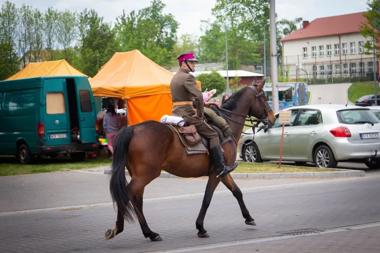 W sobotę odbyły się obchody VI Święta Rotmistrza Pileckiego w Ostrowi Mazowieckiej (zdjęcia)
