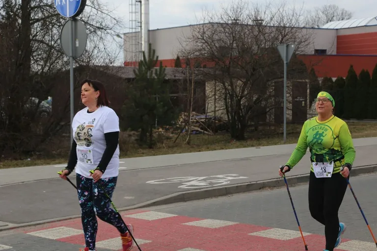 Odbyła się X edycja biegów Tropem Wilczym (zdjęcia)