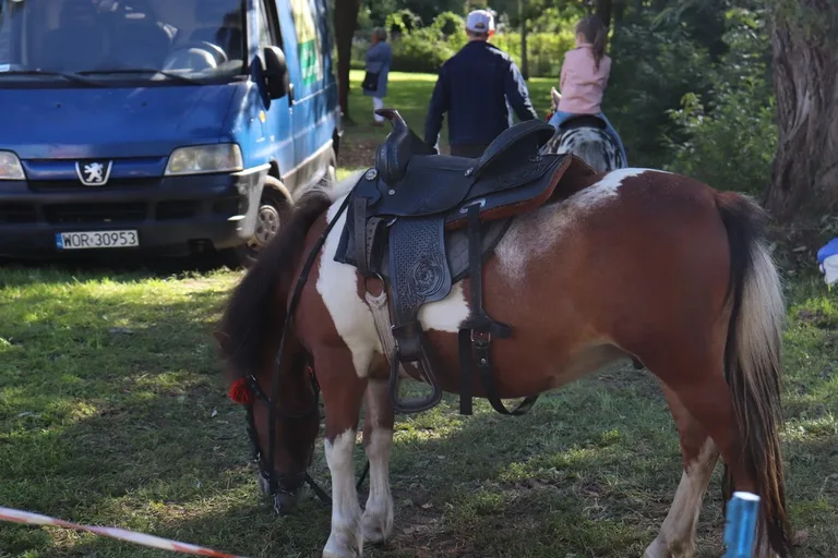 Za nami pożegnanie lata w Bogutach-Piankach (zdjęcia)