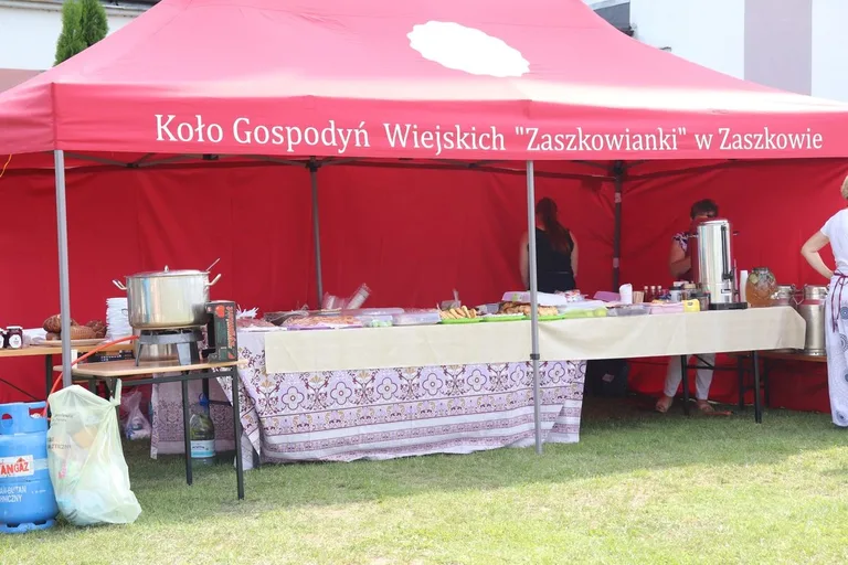 Piknik rodzinny z wieloma atrakcjami w Nurze (zdjęcia)