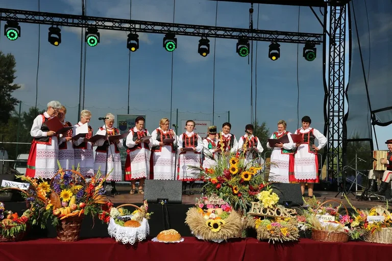 Dożynki gminne w Wąsewie (zdjęcia)