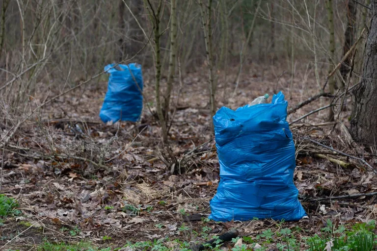 Plogging w Komorowie (zdjęcia)