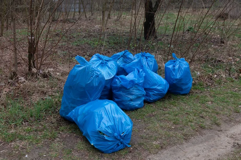 Plogging w Komorowie (zdjęcia)