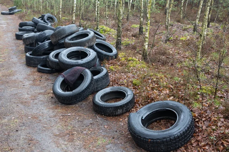Około 100 porzuconych opon w lesie na granicy Rogóźni i Ostrowi Mazowieckiej (zdjęcia)