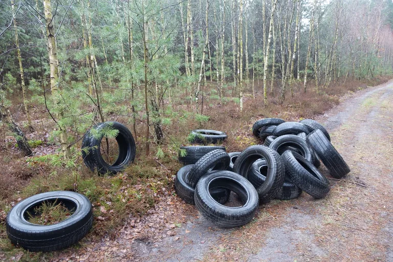Około 100 porzuconych opon w lesie na granicy Rogóźni i Ostrowi Mazowieckiej (zdjęcia)