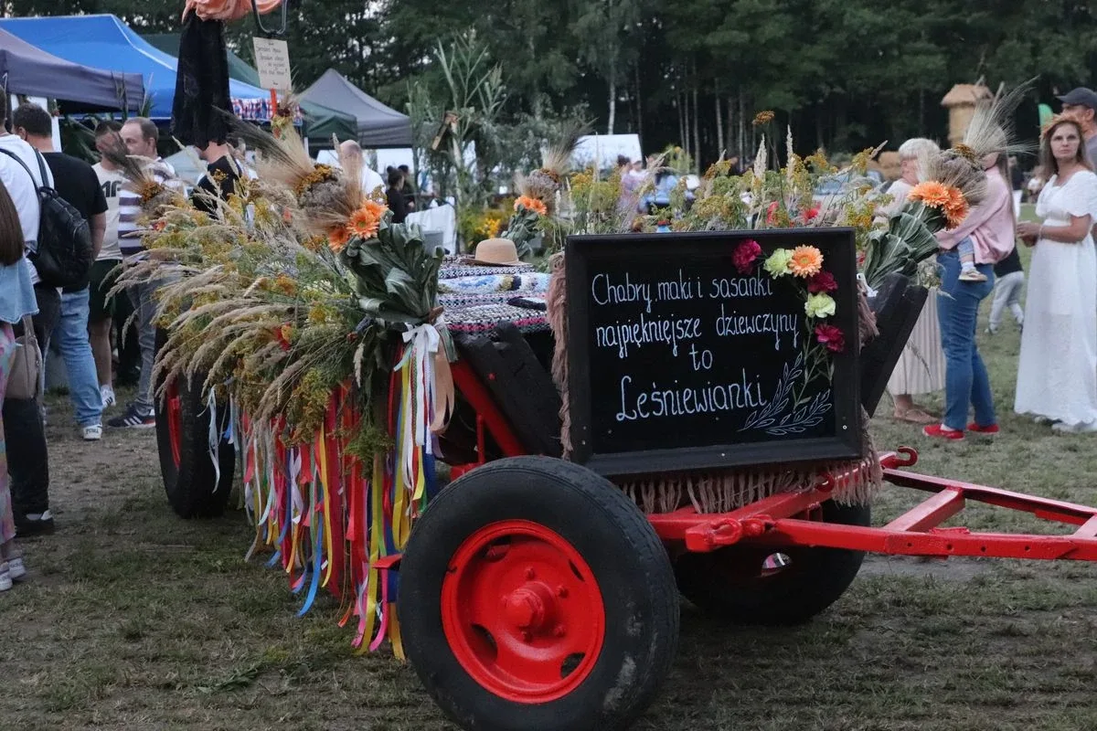 Ale to była impreza! Dożynki pełne atrakcji i koncertów w Szulborzu Wielkim (zdjęcia, wideo)