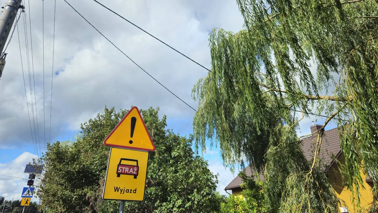 Wiatr narobił szkód. Strażacy wyjeżdżali niemal 50 razy, pomagali m.in. po upadku drzewa na dach