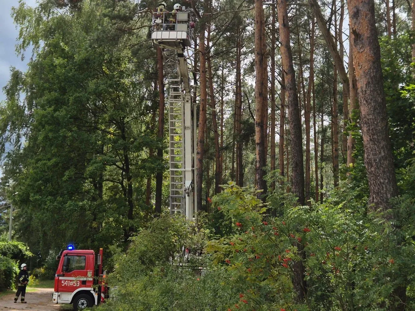 Wiatr narobił szkód. Strażacy wyjeżdżali niemal 50 razy, pomagali m.in. po upadku drzewa na dach