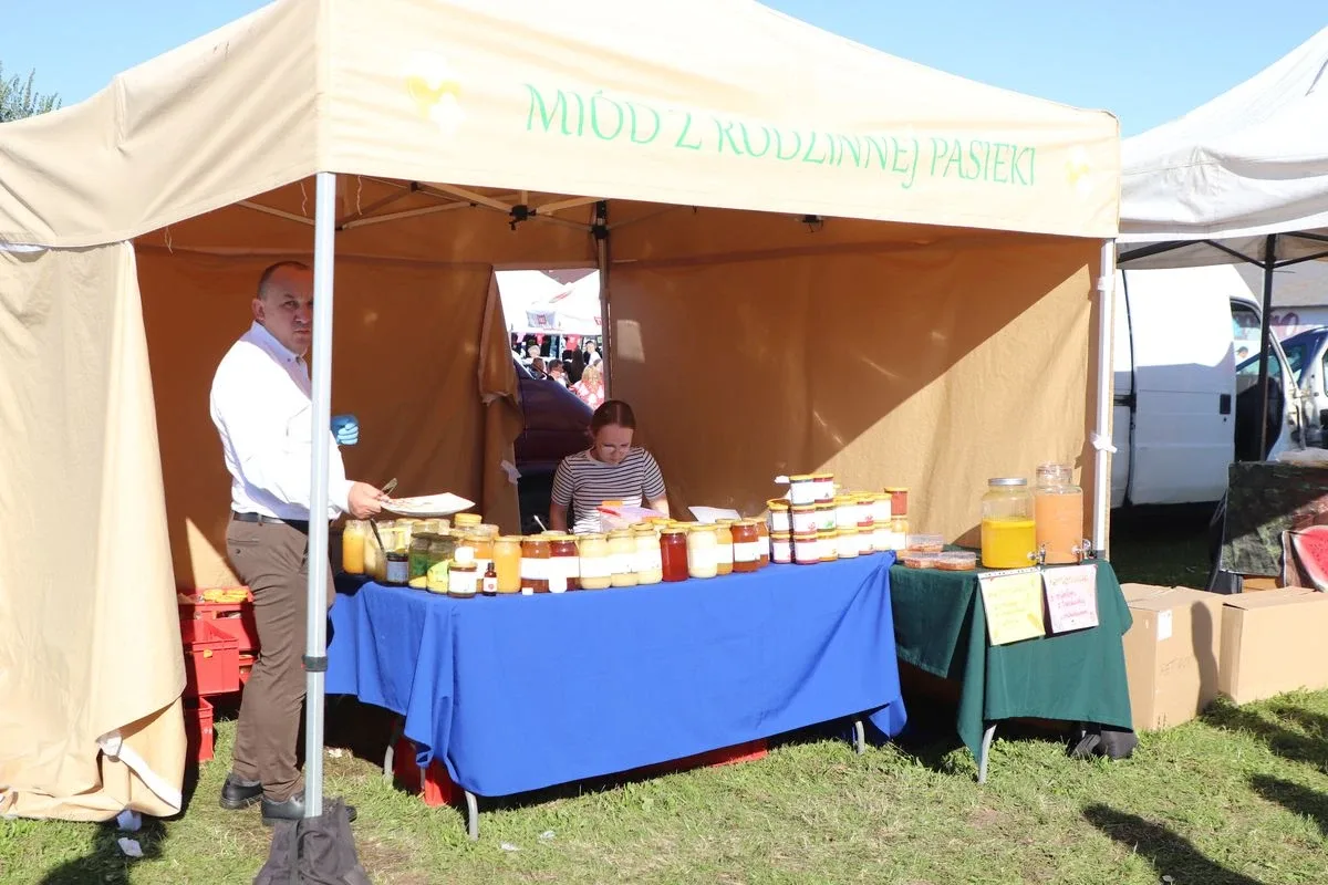 Dożynki Powiatowo-Gminne w Andrzejewie (zdjęcia, wideo)