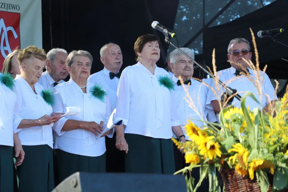 Dożynki Powiatowo-Gminne w Andrzejewie (zdjęcia, wideo)