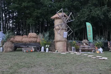 Następne zdjęcie