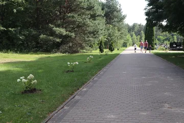 Tak było, a tak jest. Czytelniczka: zajrzyjcie na cmentarz przy ul. Wiśniowej (zdjęcia)