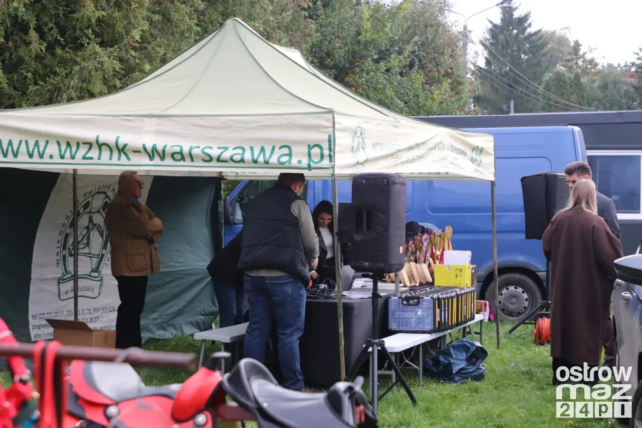 Andrzejewo gościło hodowców koni. Najpiękniejsze źrebięta oceniono podczas wyjątkowego wydarzenia (zdjęcia, wideo)