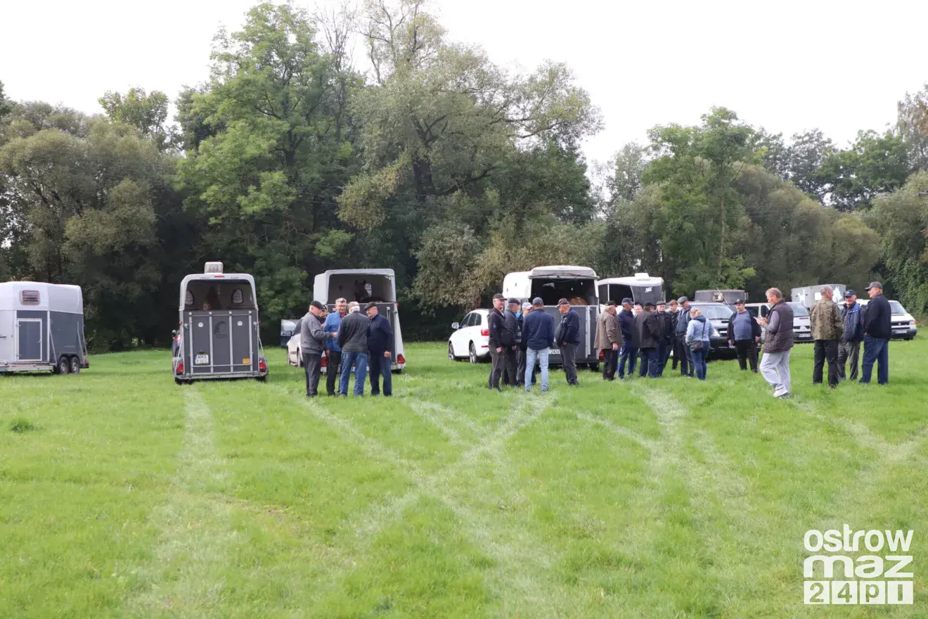 Andrzejewo gościło hodowców koni. Najpiękniejsze źrebięta oceniono podczas wyjątkowego wydarzenia (zdjęcia, wideo)