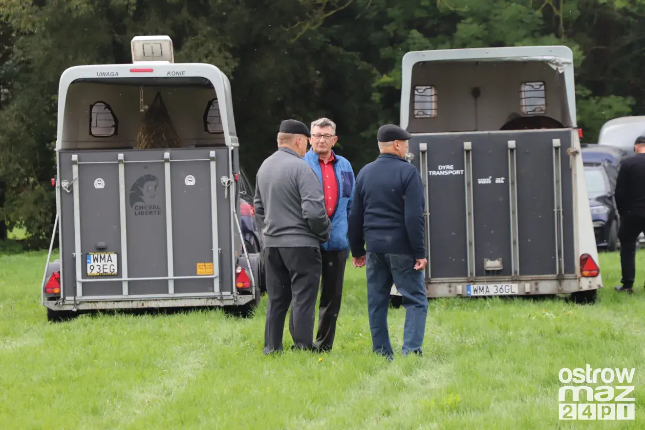Andrzejewo gościło hodowców koni. Najpiękniejsze źrebięta oceniono podczas wyjątkowego wydarzenia (zdjęcia, wideo)