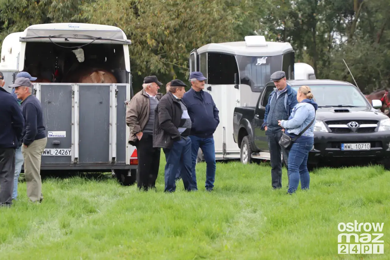 Andrzejewo gościło hodowców koni. Najpiękniejsze źrebięta oceniono podczas wyjątkowego wydarzenia (zdjęcia, wideo)