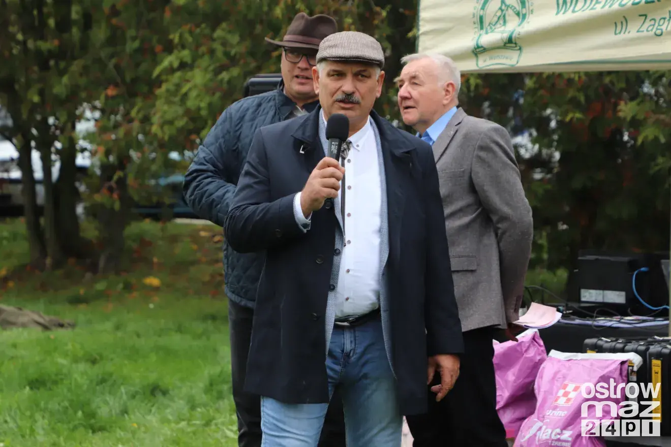 Andrzejewo gościło hodowców koni. Najpiękniejsze źrebięta oceniono podczas wyjątkowego wydarzenia (zdjęcia, wideo)