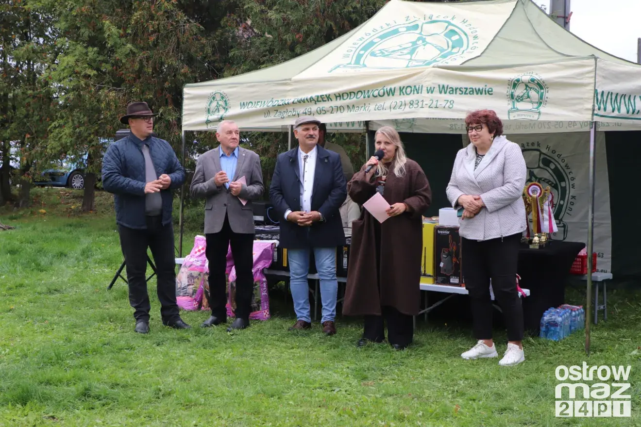 Andrzejewo gościło hodowców koni. Najpiękniejsze źrebięta oceniono podczas wyjątkowego wydarzenia (zdjęcia, wideo)