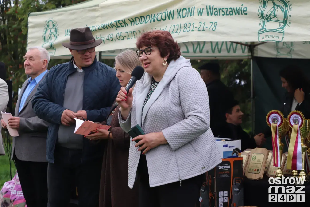 Andrzejewo gościło hodowców koni. Najpiękniejsze źrebięta oceniono podczas wyjątkowego wydarzenia (zdjęcia, wideo)