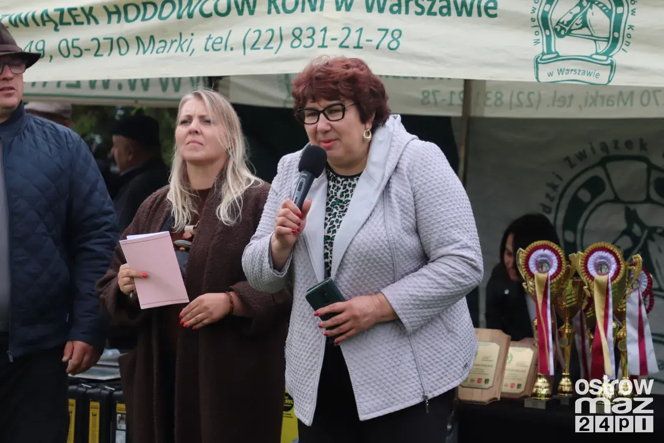 Andrzejewo gościło hodowców koni. Najpiękniejsze źrebięta oceniono podczas wyjątkowego wydarzenia (zdjęcia, wideo)