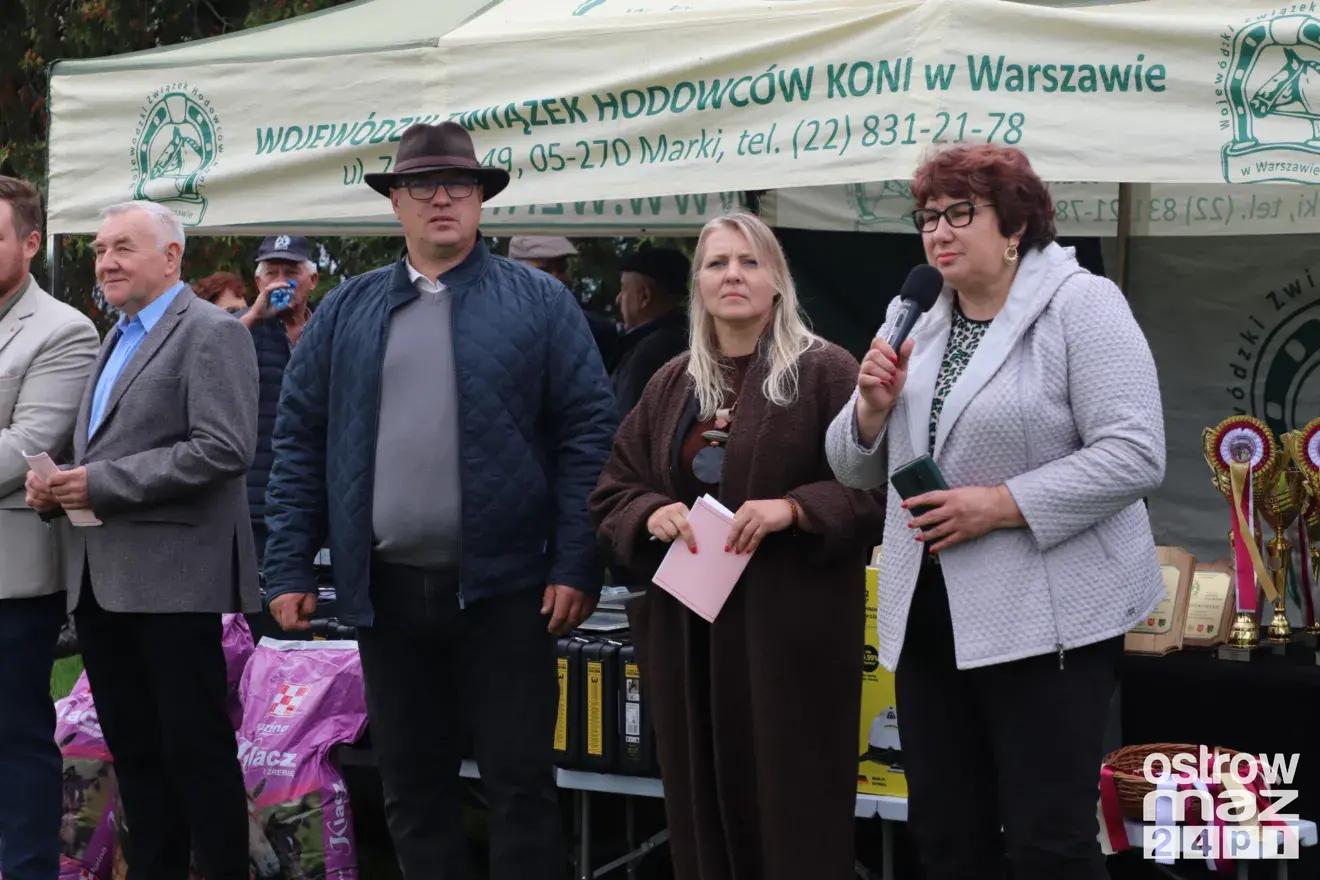 Andrzejewo gościło hodowców koni. Najpiękniejsze źrebięta oceniono podczas wyjątkowego wydarzenia (zdjęcia, wideo)