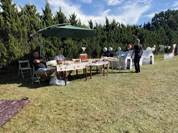 Poprzednie zdjęcie