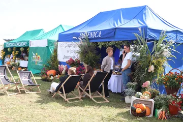 Następne zdjęcie