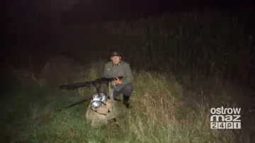 Poprzednie zdjęcie