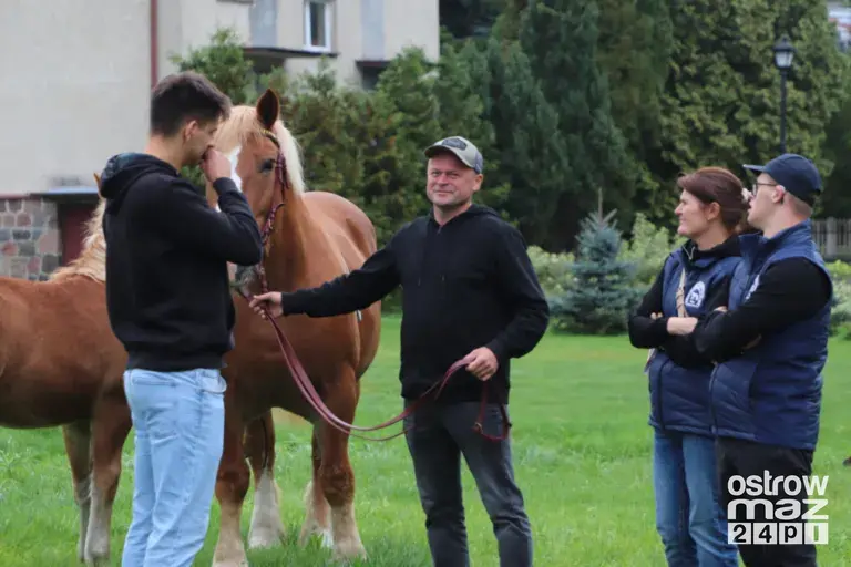Andrzejewo gościło hodowców koni. Najpiękniejsze źrebięta oceniono podczas wyjątkowego wydarzenia (zdjęcia, wideo)