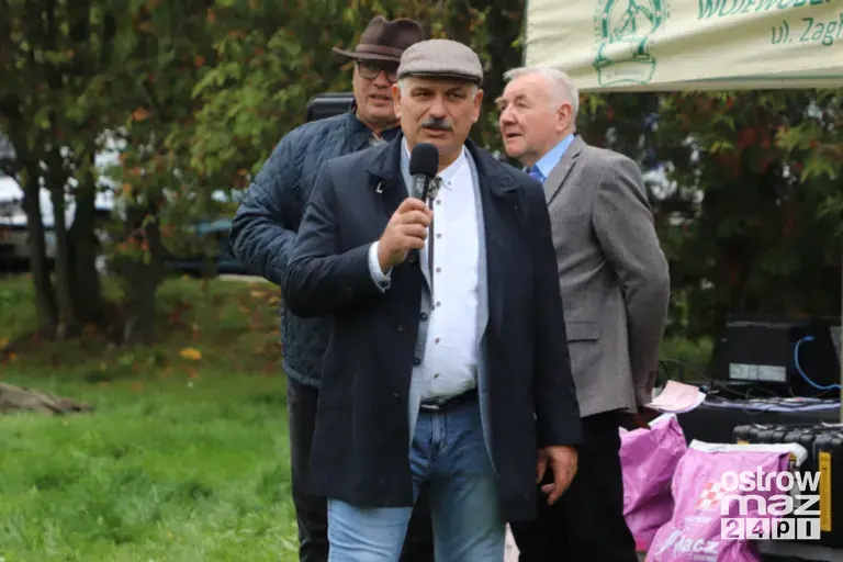 Andrzejewo gościło hodowców koni. Najpiękniejsze źrebięta oceniono podczas wyjątkowego wydarzenia (zdjęcia, wideo)