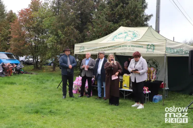 Andrzejewo gościło hodowców koni. Najpiękniejsze źrebięta oceniono podczas wyjątkowego wydarzenia (zdjęcia, wideo)