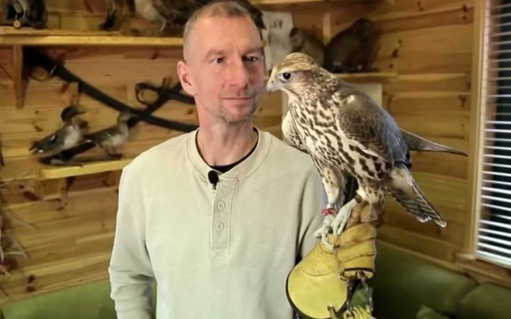 Usługi sokolnicze - pomysł na biznes ostrowskiej firmy (wideo)